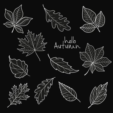 Merhaba siyah zemin üzerine sonbahar ifade bırakır