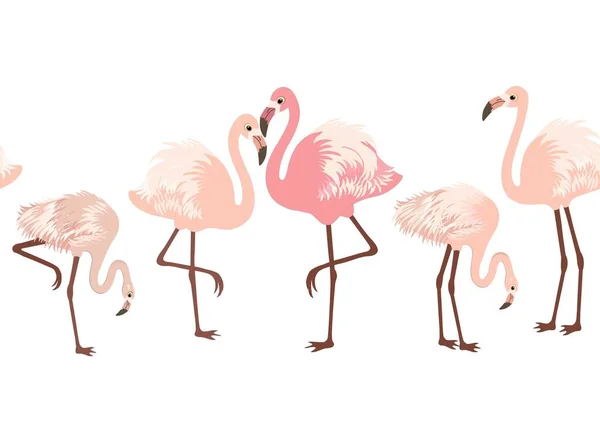 Padrão sem costura com pássaros flamingo rosa — Vetor de Stock