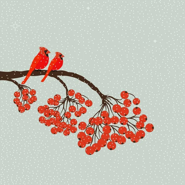 Deux oiseaux rouges cardinal sur la branche avec des baies — Image vectorielle