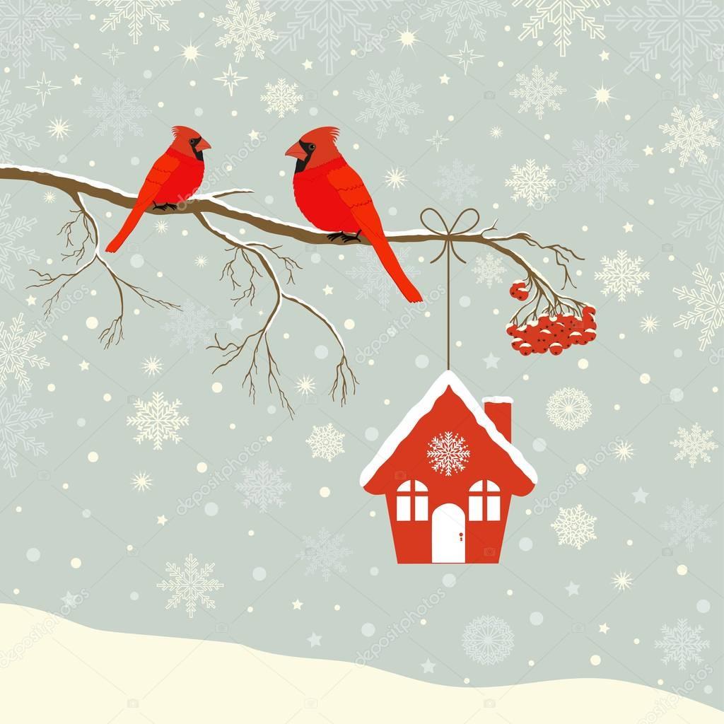 Cute red cardinal bird with birdhouse on branch in winter