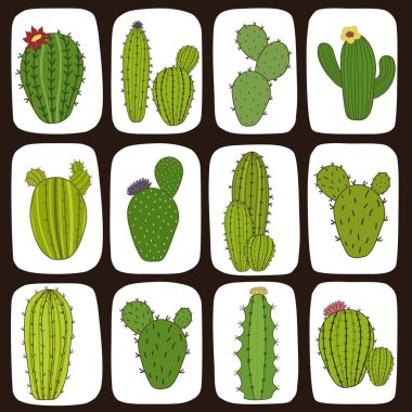 Kaktüslü şirin bir desen.