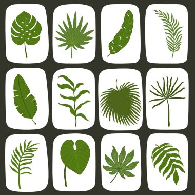 Kare halinde tropikal yapraklı desen. 