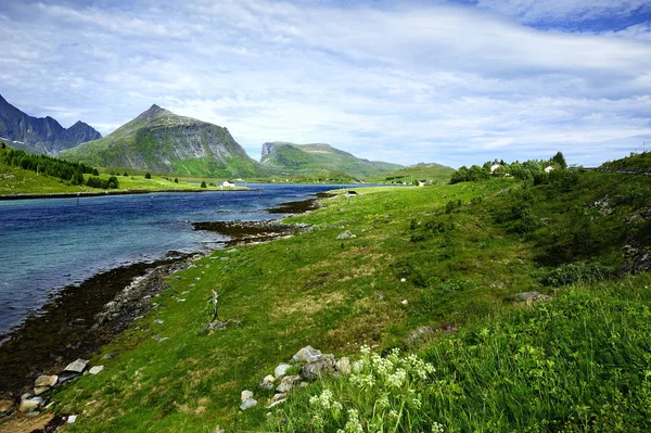 De fjorden en bergen — Stockfoto