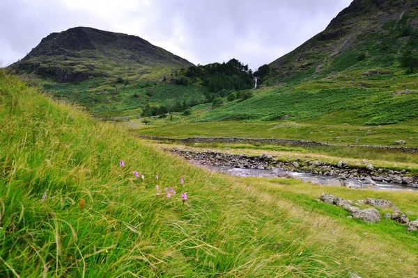 Seathwaite 落ちたと穀物・ ギル — ストック写真