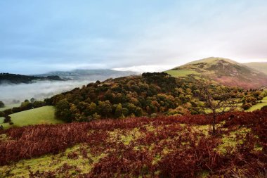 Bulut inversiyon ve satış düştü