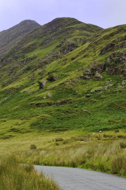 Koyun Fleethwith Pike