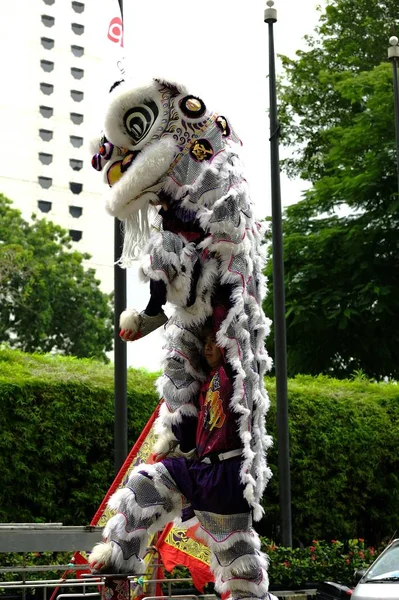 Chinese White Lion — Stock Photo, Image