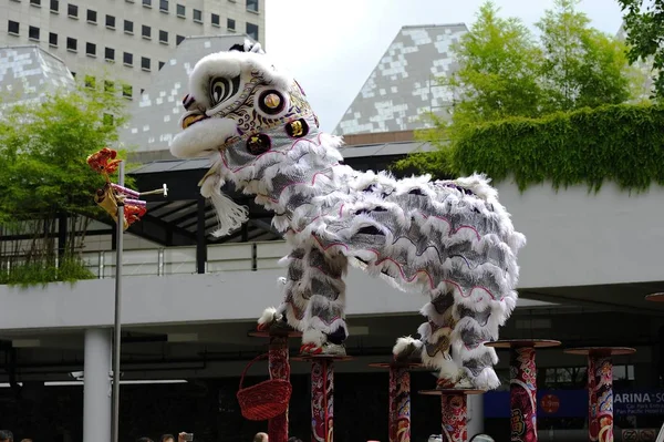 Chinese White Lion — Stock Photo, Image
