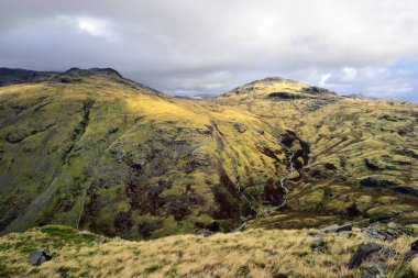 Soğuk Pike ve Blisco Pike