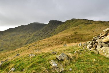 Tilberthwaite yüksek Fells