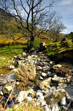 Rannerdale Knotts eğleniyor