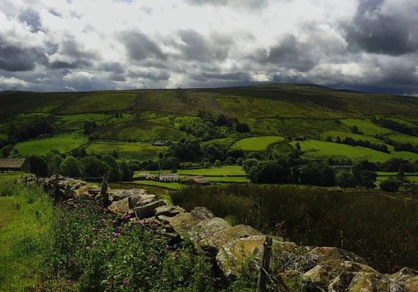 Whernside і зелені долини — стокове фото