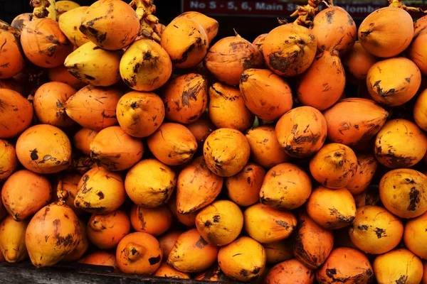 Hindistancevizi Sri Lanka Satılık