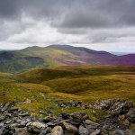 Сонячне світло на Skiddaw лісу