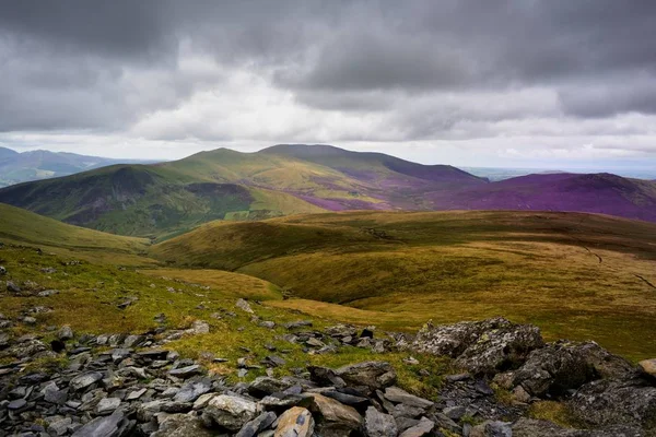 Solljus på Skiddaw skog — Gratis stockfoto