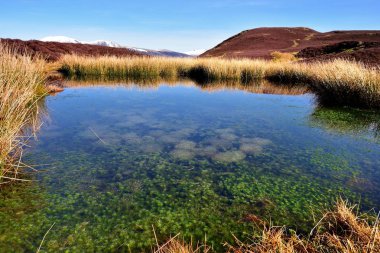 Stile ucunda bir tarn bahar