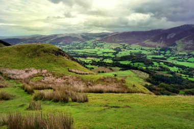 Lorton Vale yeşil otlaklar