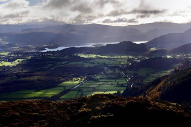 Çayırlar üzerinde güneş ışığı