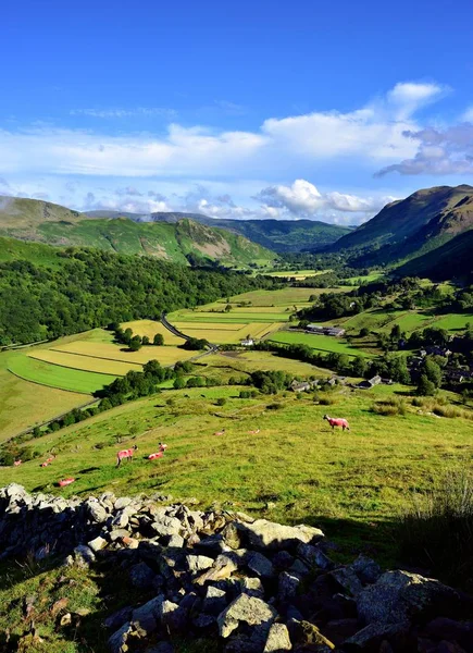 Os campos de Hartsop — Fotografia de Stock