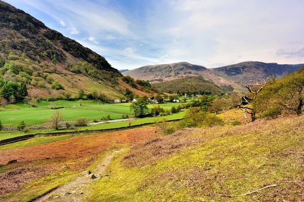 Les champs verts d'Borrowdale — Photo