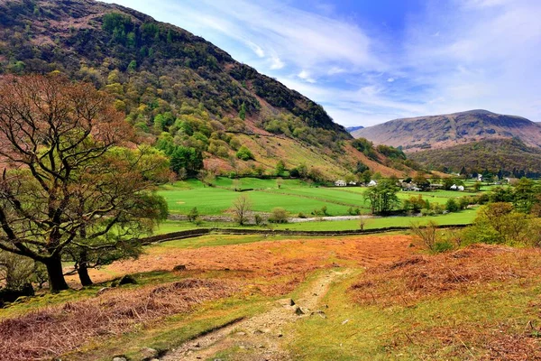 Zielone pola Borrowdale — Zdjęcie stockowe