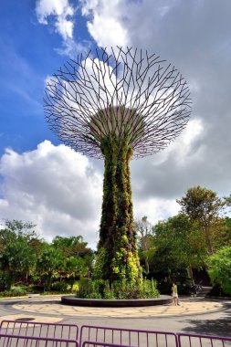 Supertrees Bay tarafından bahçede