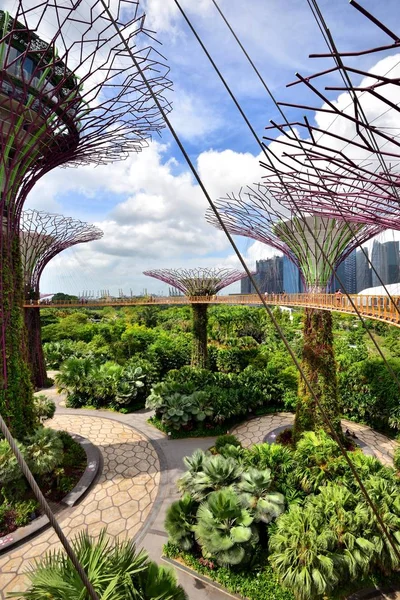 Supertrees in the Garden by the Bay — Stock Photo, Image