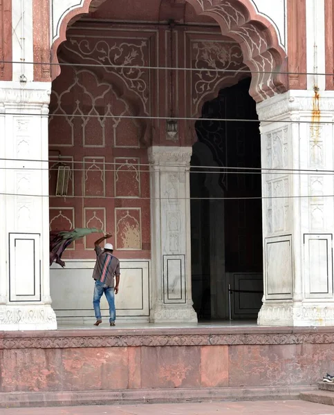 Delhi Índia Novembro 2019 Limpador Balançando Pano Limpeza Mesquita Jama — Fotografia de Stock