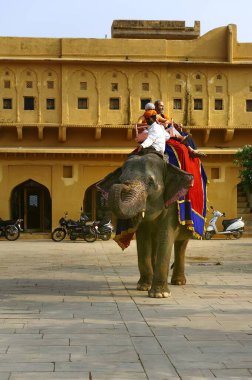 Jaipur, Hindistan - 11 Kasım 2019: Amber Kalesi 'nde fil gezintisi yapan turistler