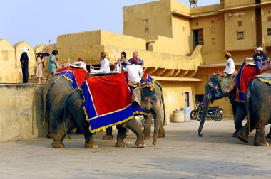 Jaipur, Hindistan - 11 Kasım 2019: Amber Kalesi 'nde fil gezintisi yapan turistler