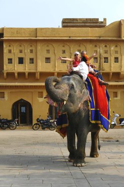 Jaipur, Hindistan - 11 Kasım 2019: Amber Kalesi 'nde fil gezintisi yapan turistler