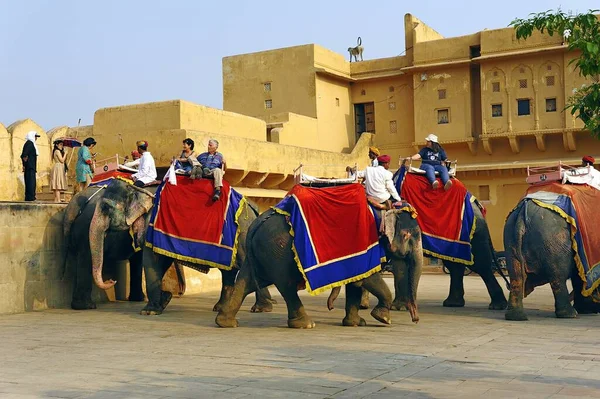 Jaipur Índia Novembro 2019 Turistas Desfrutam Passeio Elefante Forte Amber — Fotografia de Stock