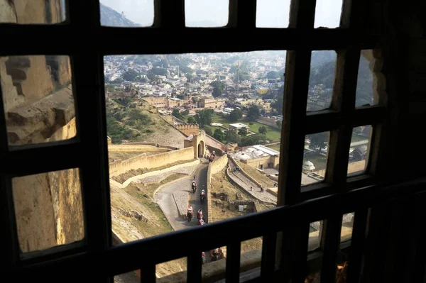 Jaipur India Novembre 2019 Elefanti Che Salgono Scendono Forte Dell — Foto Stock