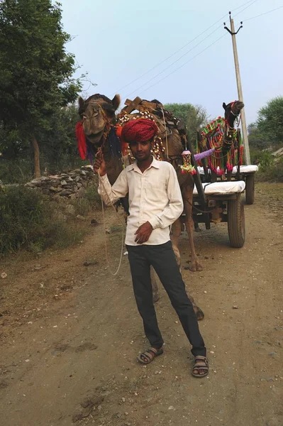 Vanaasherya Inde Novembre 2019 Fier Propriétaire Avec Ses Chameaux Ses — Photo