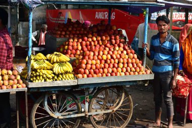 Ranthambhore, Hindistan - 9 Kasım 2019: Satılık taze meyve arabası