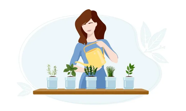 Woman watering arugula, bay leaf, chives, oregano and rosemary plants at her greenhouse. — Stok Vektör