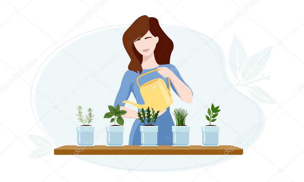 Woman watering arugula, bay leaf, chives, oregano and rosemary plants at her greenhouse.