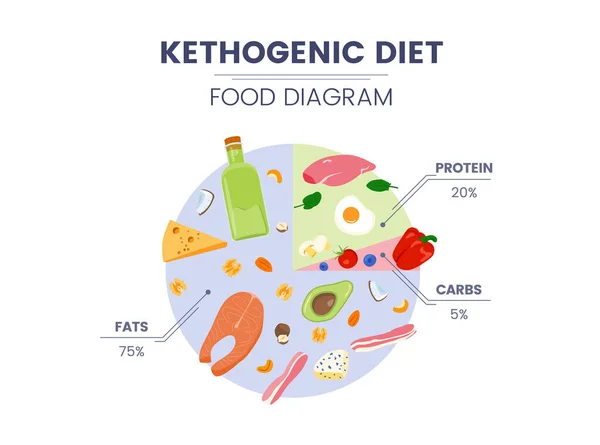 Diagrama alimentar vetorial cetogénico com proteínas, hidratos de carbono e gorduras . — Vetor de Stock