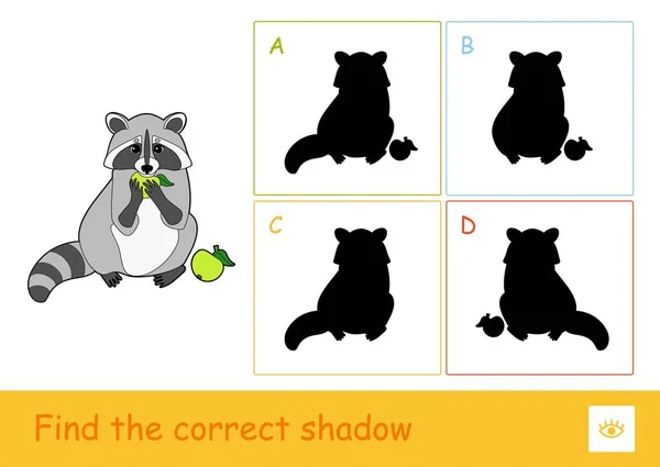 Trouver le quiz d'ombre correcte apprentissage jeu d'enfants avec le manger un raton laveur de pomme et quatre ombres de silhouette — Image vectorielle