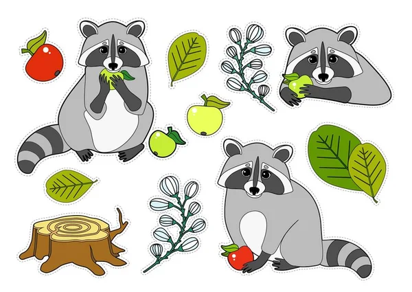 Bunte Kinder Sticker-Pack mit einem Waschbär, Äpfel, Pflanzen, Stumpf isoliert auf weißem Hintergrund. Wilde Tiere und Jahreszeiten. — Stockvektor