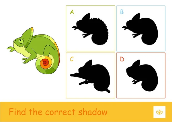 Trouvez le quiz d'ombre correct jeu d'apprentissage des enfants avec une illustration simple de caméléon mignon et quatre ombres de silhouette pour les plus jeunes enfants. Amusement et apprentissage des animaux sauvages pour les enfants . — Image vectorielle