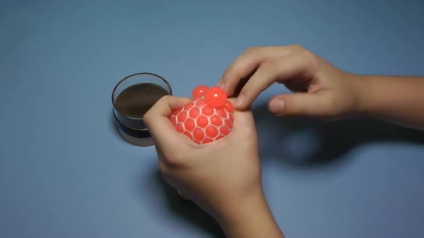 Child bugging in the hands of a soft ball on the blue background. — Stock Video