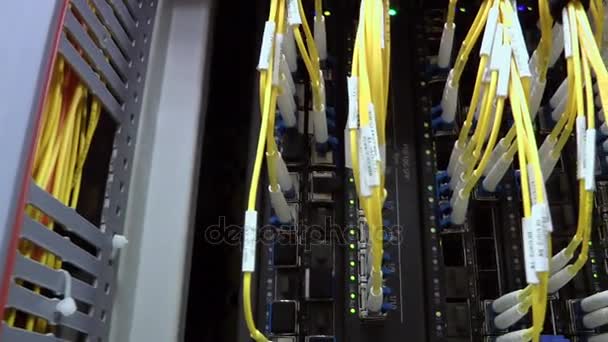 Fiber optik kablo bağlayıcı etkinlik göstergesi yanıp sönen — Stok video