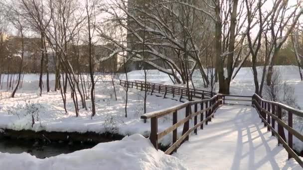 Ponte de madeira, estrada através do parque, neve . — Vídeo de Stock