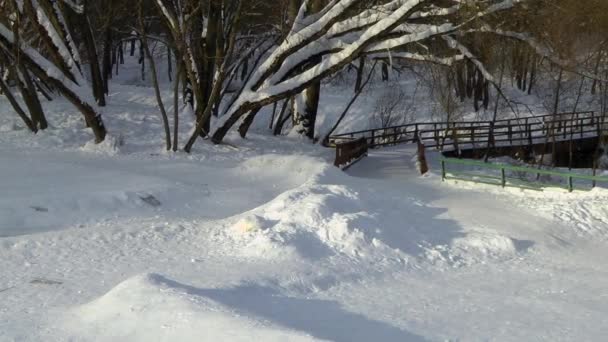 Wooden bridge, road throught the park, snow. — Stock Video