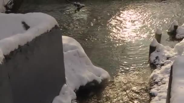 Ρέμα ενώνεται με τον ποταμό. Χιόνι. — Αρχείο Βίντεο