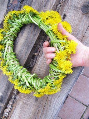 Kızların elinde karahindiba çelengi. Yaz arkaplanı