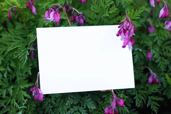 Vista Dall Alto Sfondo Con Fiori Rosa Composizione Floreale Con — Foto Stock