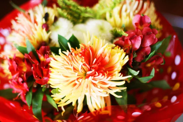 Ramo Flores Antecedentes Postal Hermoso Ramo Flores Frescas Para Una — Foto de Stock