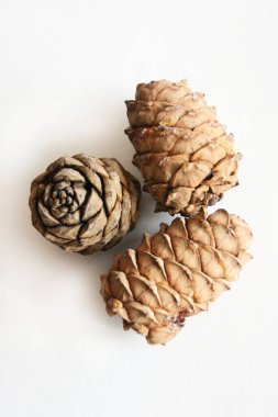 Beyaz masada üç kozalak.